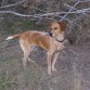 Emi en la Sierra de Carrascoy.